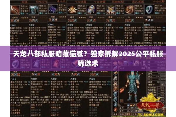 天龙八部私服暗藏猫腻？独家拆解2025公平私服筛选术