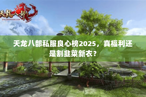 天龙八部私服良心榜2025,真福利还是割韭菜新衣? 天龙八部私服良心榜2025,真福利还是割韭菜新衣?