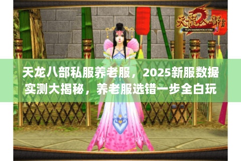 天龙八部私服养老服，2025新服数据实测大揭秘，养老服选错一步全白玩