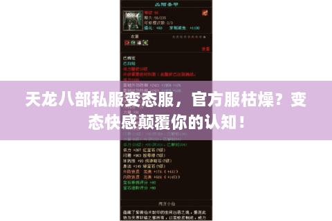 天龙八部私服变态服，官方服枯燥？变态快感颠覆你的认知！