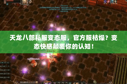 天龙八部私服变态服,官方服枯燥?变态快感颠覆你的认知! 天龙八部私服变态服,官方服枯燥?变态快感颠覆你的认知!