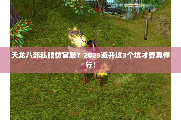 天龙八部私服仿官服?2025避开这3个坑才算真懂行! 天龙八部私服仿官服?2025避开这3个坑才算真懂行!