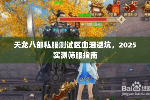 天龙八部私服测试区血泪避坑,2025实测筛服指南 天龙八部私服测试区血泪避坑,2025实测筛服指南