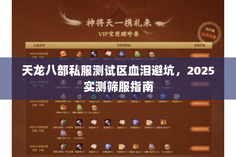 天龙八部私服测试区血泪避坑,2025实测筛服指南 天龙八部私服测试区血泪避坑,2025实测筛服指南