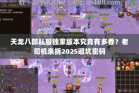 天龙八部私服独家版本究竟有多香？老司机亲拆2025避坑密码