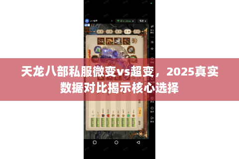 天龙八部私服微变vs超变，2025真实数据对比揭示核心选择