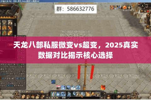 天龙八部私服微变vs超变，2025真实数据对比揭示核心选择