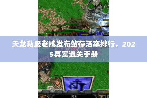 天龙私服老牌发布站存活率排行,2025真实通关手册 天龙私服老牌发布站存活率排行,2025真实通关手册