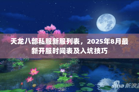 天龙八部私服新服列表，2025年8月最新开服时间表及入坑技巧