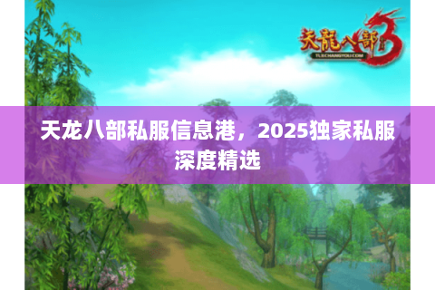 天龙八部私服信息港，2025独家私服深度精选