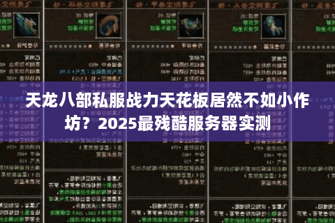天龙八部私服战力天花板居然不如小作坊？2025最残酷服务器实测