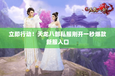立即行动！天龙八部私服刚开一秒爆款新服入口