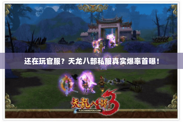还在玩官服？天龙八部私服真实爆率首曝！