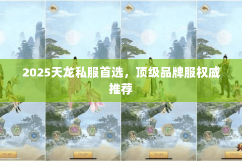 2025天龙私服首选,顶级品牌服权威推荐 2025天龙私服首选,顶级品牌服权威推荐