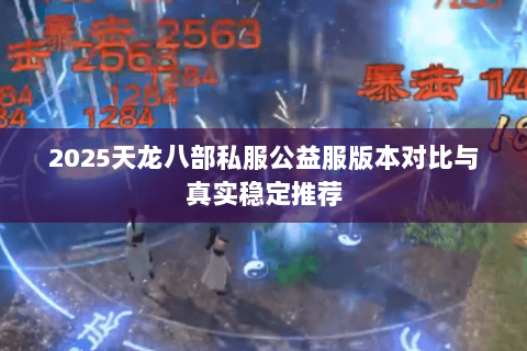 2025天龙八部私服公益服版本对比与真实稳定推荐 2025天龙八部私服公益服版本对比与真实稳定推荐