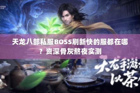 天龙八部私服BOSS刷新快的服都在哪？资深骨灰熬夜实测