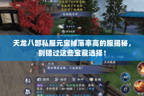 天龙八部私服元宝掉落率高的服揭秘，别错过这些宝藏选择！