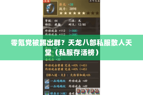 零氪党被踢出群?天龙八部私服散人天堂(私服存活榜) 零氪党被踢出群?天龙八部私服散人天堂(私服存活榜)