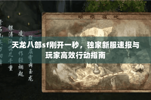 天龙八部sf刚开一秒,独家新服速报与玩家高效行动指南 天龙八部sf刚开一秒,独家新服速报与玩家高效行动指南