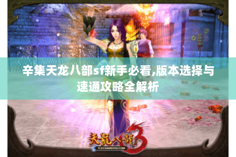辛集天龙八部sf新手必看,版本选择与速通攻略全解析
