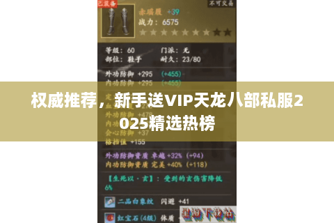 权威推荐，新手送VIP天龙八部私服2025精选热榜