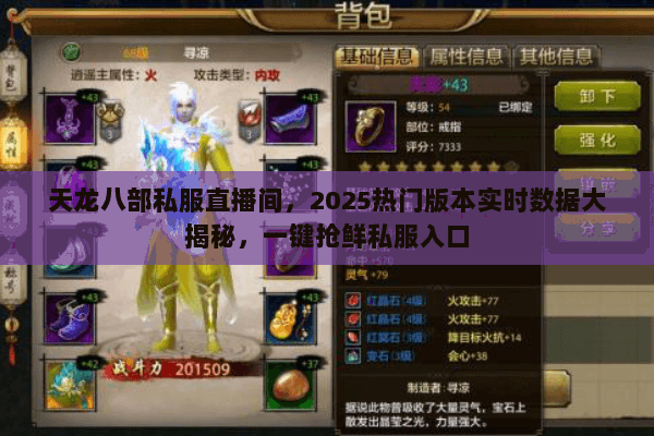 天龙八部私服直播间，2025热门版本实时数据大揭秘，一键抢鲜私服入口