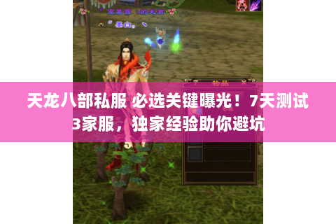 天龙八部私服 必选关键曝光!7天测试3家服,独家经验助你避坑 天龙八部私服 必选关键曝光!7天测试3家服,独家经验助你避坑