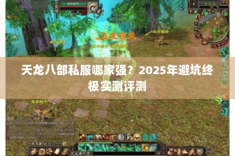 天龙八部私服哪家强?2025年避坑终极实测评测 天龙八部私服哪家强?2025年避坑终极实测评测