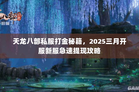 天龙八部私服打金秘籍,2025三月开服新服急速提现攻略 天龙八部私服打金秘籍,2025三月开服新服急速提现攻略