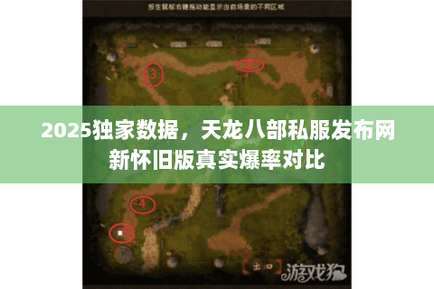 2025独家数据，天龙八部私服发布网新怀旧版真实爆率对比