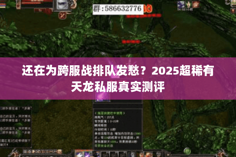 还在为跨服战排队发愁？2025超稀有天龙私服真实测评