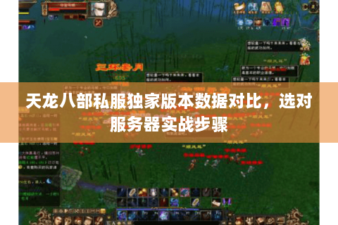 天龙八部私服独家版本数据对比,选对服务器实战步骤 天龙八部私服独家版本数据对比,选对服务器实战步骤