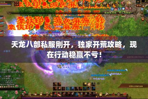 天龙八部私服刚开，独家开荒攻略，现在行动稳赢不亏！