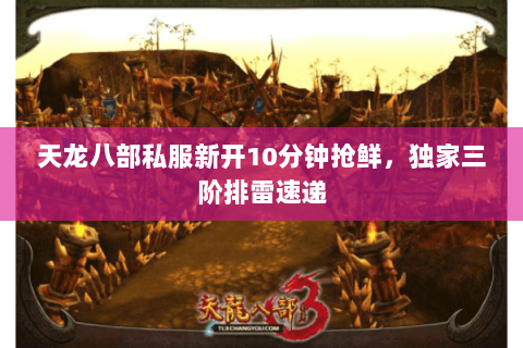 天龙八部私服新开10分钟抢鲜，独家三阶排雷速递