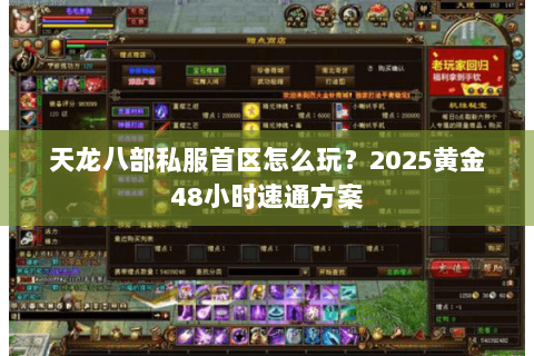 天龙八部私服首区怎么玩?2025黄金48小时速通方案 天龙八部私服首区怎么玩?2025黄金48小时速通方案
