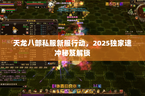 天龙八部私服新服行动，2025独家速冲秘笈解锁