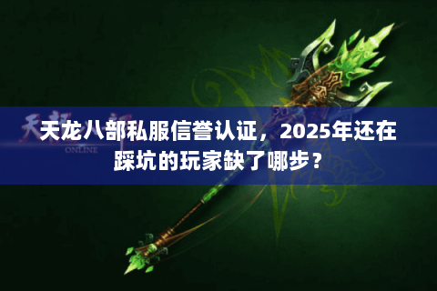 天龙八部私服信誉认证,2025年还在踩坑的玩家缺了哪步? 天龙八部私服信誉认证,2025年还在踩坑的玩家缺了哪步?