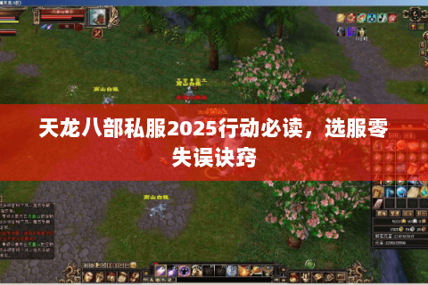 天龙八部私服2025行动必读，选服零失误诀窍