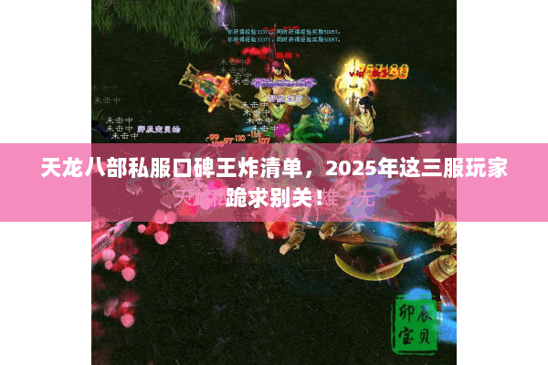天龙八部私服口碑王炸清单，2025年这三服玩家跪求别关！