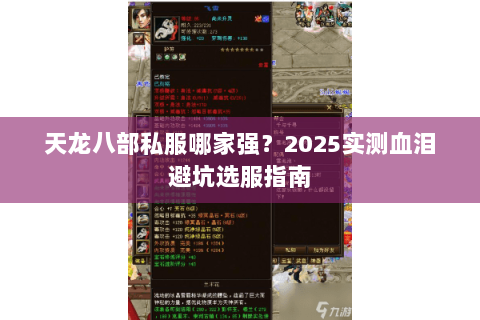 天龙八部私服哪家强？2025实测血泪避坑选服指南