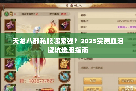天龙八部私服哪家强？2025实测血泪避坑选服指南