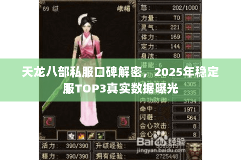 天龙八部私服口碑解密，2025年稳定服TOP3真实数据曝光