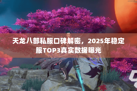 天龙八部私服口碑解密,2025年稳定服TOP3真实数据曝光 天龙八部私服口碑解密,2025年稳定服TOP3真实数据曝光