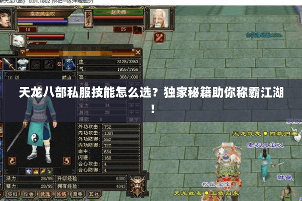 天龙八部私服技能怎么选？独家秘籍助你称霸江湖！