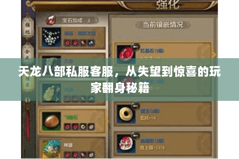 天龙八部私服客服，从失望到惊喜的玩家翻身秘籍