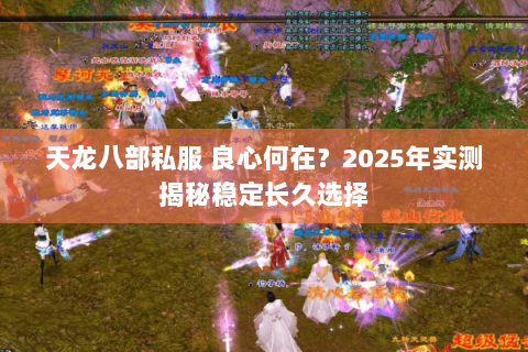 天龙八部私服 良心何在？2025年实测揭秘稳定长久选择