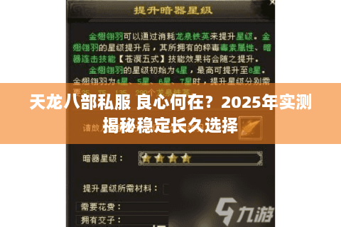 天龙八部私服 良心何在？2025年实测揭秘稳定长久选择