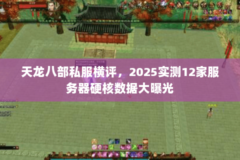天龙八部私服横评,2025实测12家服务器硬核数据大曝光 天龙八部私服横评,2025实测12家服务器硬核数据大曝光