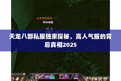 天龙八部私服独家探秘,高人气服的背后真相2025 天龙八部私服独家探秘,高人气服的背后真相2025