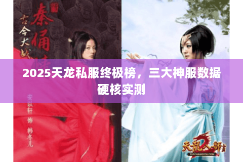 2025天龙私服终极榜，三大神服数据硬核实测